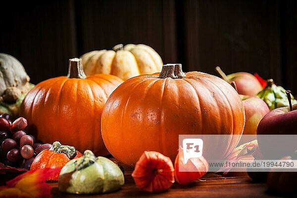 Traditionelle Kürbisse für Thanksgiving und Halloween in warmen Farben