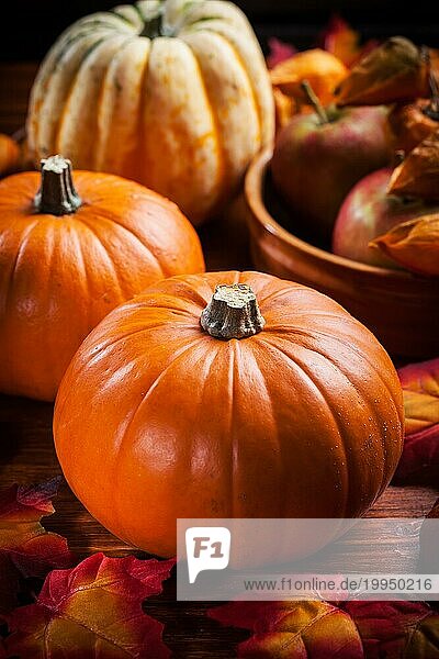Traditionelle Kürbisse für Thanksgiving und Halloween in warmen Farben
