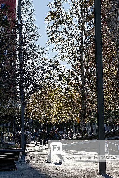 Fußgänger auf einem von Bäumen gesäumten Bürgersteig im Herbst in einem Finanzviertel in Barcelona
