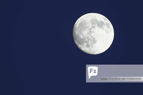 Vollmond; Full Moon; Schleswig-Holstein; Deutschland; Germany