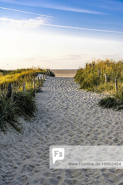 Germany  Schleswig-Holstein  Sandy footpath leading to beach