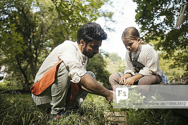 Young man and girl preparing herbs for planting at community garden