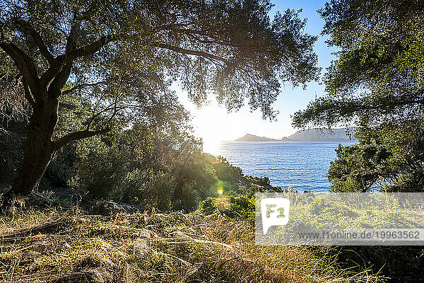 Greece  Ionian Islands  Agios Georgios  View from hill on Corfu island with summer sun shining in background