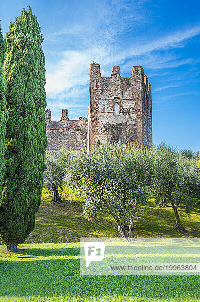 Italy  Veneto  Lazise  Green trees in front of old castle