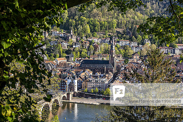 Germany  Baden-Wurttemberg  Heidelberg  Old town buildings with Neckar river in foreground
