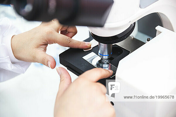 Hands of microbiologist positioning sample in microscope