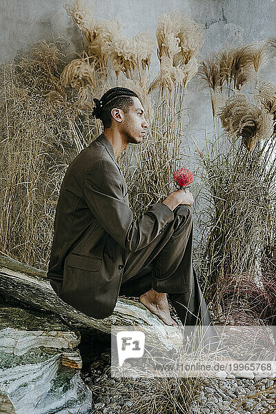 Thoughtful businessman holding Pincushion flower and sitting on rock in garden