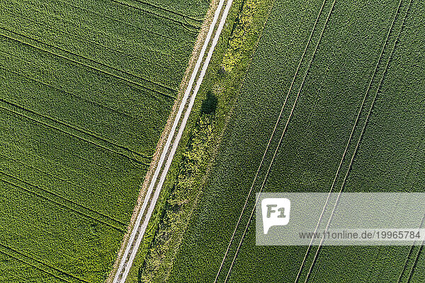 Germany  Bavaria  Aerial view of country road stretching between green fields
