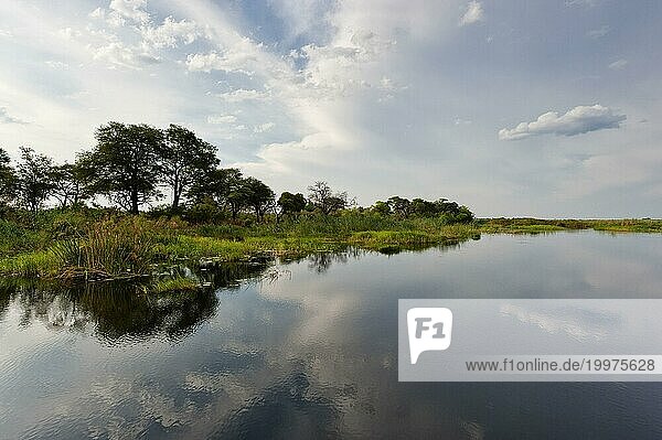 Flussfahrt im Okavango Delta  Schilf  Wolken  Natur  Naturlandschaft  Landschaft  niemand  puristisch  Spiegelung  Kwando River  BwaBwata Nationalpark  Namibia  Afrika