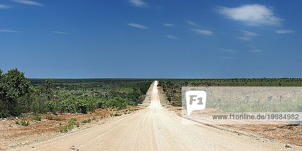 Die C44 bei Tsumke  Strasse  Highway  Weg  mittig  niemand  einsam  Roadtripp  Landschaft  Reise  Auto  Abenteuer  Sandpiste  Panorama  Entfernung  Namibia  Afrika
