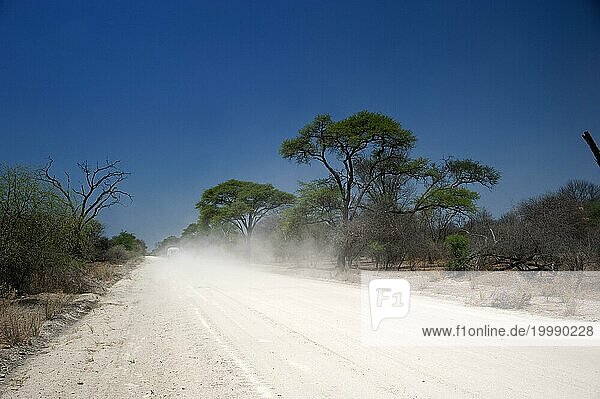 Die C44 bei Tsumke  Strasse  Highway  Weg  mittig  niemand  einsam  Roadtripp  Landschaft  Reise  Auto  Abenteuer  Sandpiste  staub  staubig  Entfernung  Namibia  Afrika