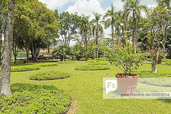 Palmensammlung im Stadtpark in Kuching  Malaysia  tropischer Garten mit großen Bäumen und Rasenflächen  Gartenarbeit  Landschaftsgestaltung. Tageszeit mit bewölktem blauen Himmel  Asien