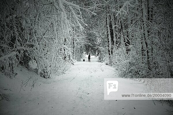 Zwei Personen spazieren in der Ferne auf einem schneebedeckten Pfad im Wald  Wuppertal Vohwinkel  Nordrhein-Westfalen  Deutschland  Europa