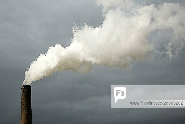 Steam rising from chimneys as sugar beet is processed at the British Sugar factory  Bury St Edmunds  Suffolk  England  United Kingdom  Europe