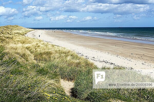 Wide sandy beach at Seahouses  Northumberland  England  UK