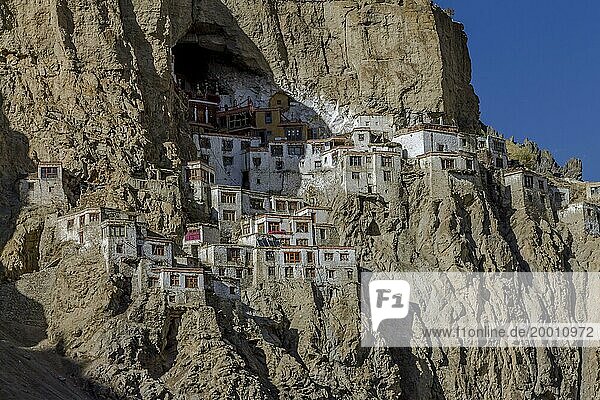 Phugtal Gompa  eines der spektakulärsten buddhistischen Klöster Ladakhs  das sich an eine Bergklippe hoch über dem Talboden klammert. Es gehört zur Gelug Schule des tibetischen Buddhismus. Fotografiert an einem sonnigen Tag mit blauem Himmel im späten September  im Herbst. Zanskar Gebirgskette des Himalayas. Bezirk Kargil  Unionsterritorium Ladakh  Indien  Asien