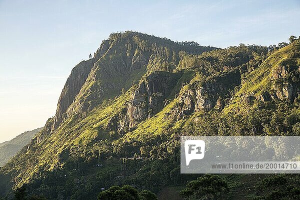 Ella Rock mountain  Ella  Badulla District  Uva Province  Sri Lanka  Asia