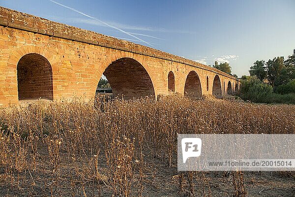 Dried vegetation grows by the course of guadalquivir river at the roman bridge from III AD century  Andujar  Jaen province  Spain  Europe