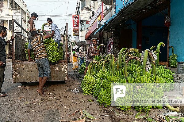 Bananenstauden werden verladen  Bananenhändler  Pondicherry oder Puducherry  Tamil Nadu  Indien  Asien