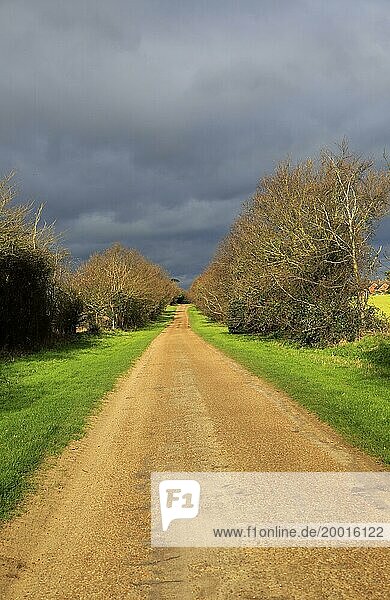 Long straight unsurfaced country road in winter sunshine  Sutton  Suffolk  England  UK