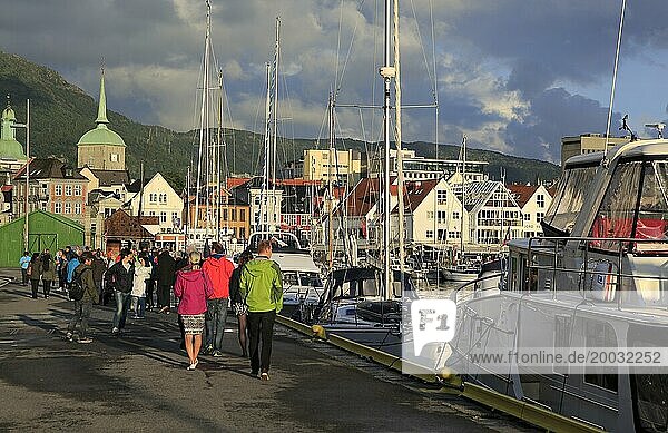 Sailing yachts and historic buildings evening light  Vagen harbour  Bergen  Norway  Europe