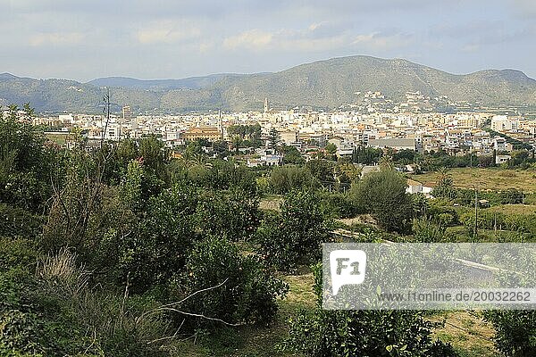 View over orange trees to town of Pego  Marina Alta  Alicante province  Spain  Europe