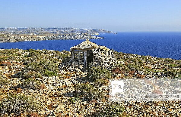 Coastal scenery vegetation blue sea looking south from Res il-Qammieh  Marfa Peninsula  Republic of Malta
