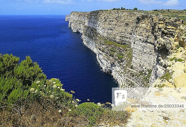 Coastal clifftop landscape view westwards at Ta' Cenc cliffs  island of Gozo  Malta  Europe