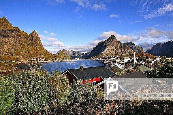 The town of Reine in the early morning  Lofoten Islands  north-west Norway
