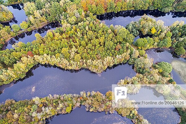 Mischwald im Herbst  Färbung  Luftbild  Wald  herbstlich  Ahlhorner Fischteiche  Niedersächsische Landesforst  Ahlhorn  Niedersachsen  Deutschland  Europa