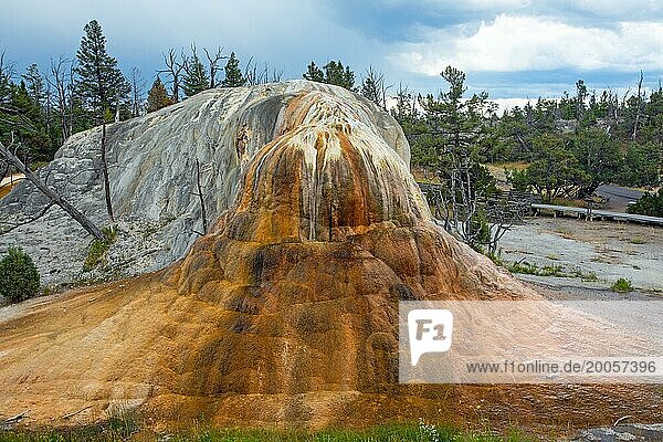 Mammoth Hot Springs  Yellowstone NP