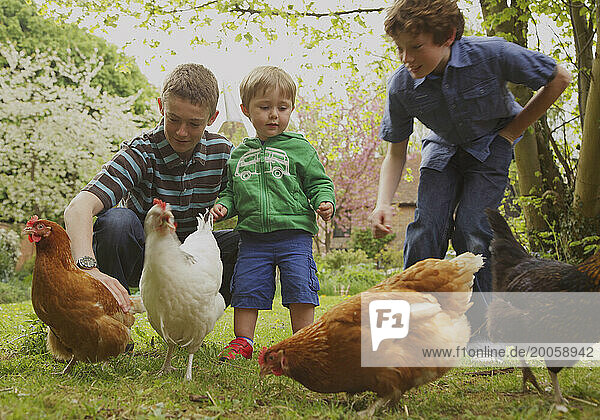 Children and Chickens in Garden