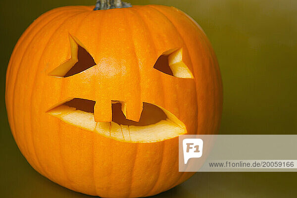 Halloween pumpkin  jack o lantern
