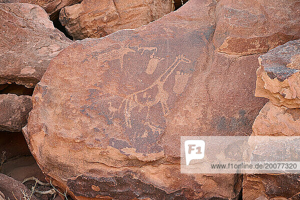 Felsgravuren von Twyfelfontein  Damaraland  Namibia  Afrika |rock engravings of Twyfelfontein  Damaraland  Namibia  Africa|