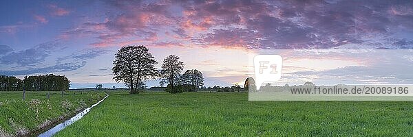 Sunset over a meadow landscape with ditch and trees  panorama  landscape photography  nature photography  evening light  grass  Schneeren  Neustadt am Rübenberge  Germany  Europe