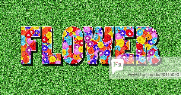 The word Flower written with colorful flowers  illustration  graphic  on a green background