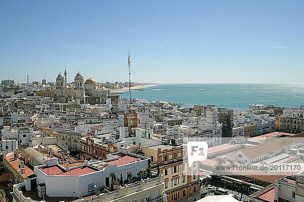 Panorama with cathedral in Cádiz  Spain  Europe