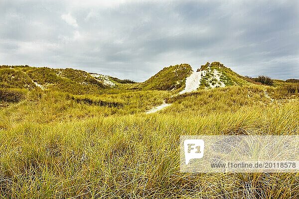 Landscape in the dunes on the island of Amrum