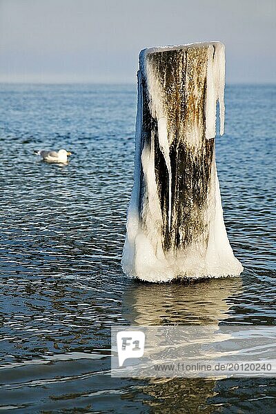 Icy groyne in Zingst on the Baltic Sea