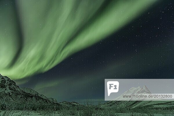 Green Northern Lights (Aurora borealis) over snowy mountains  Brooks Range  Alaska  USA  North America