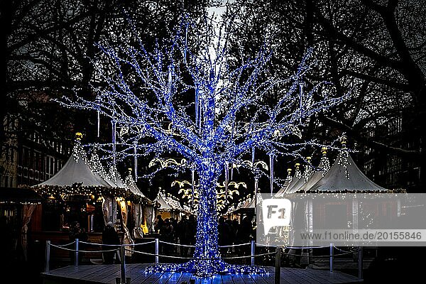 An artificial tree glows in dark blue LED lights at night  Dresden Christmas market