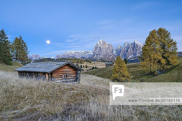 Autumn on the Seiser Alm  Alpine huts with Plattkofel and Langkofel  blue hour  full moon  Dolomites  South Tyrol
