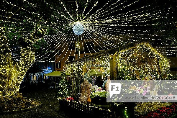 Christmas lights  illuminated nativity scene scene  illuminated trees  Santa Cruz  Madeira Island