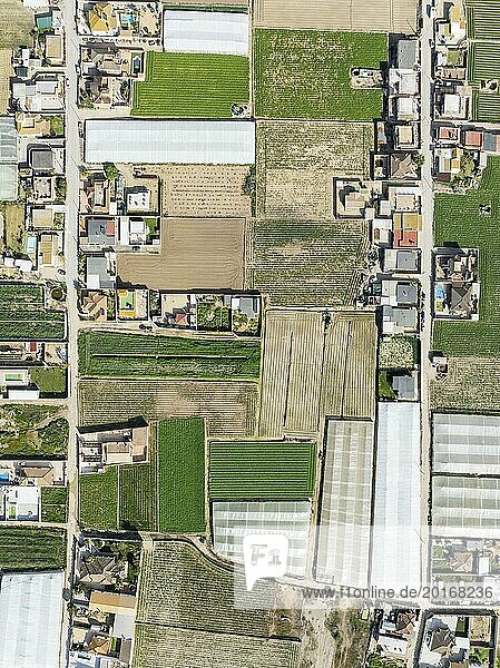 The semi rural district of La Algaida with its cultivated fields next to Sanlúcar de Barrameda. Aerial view. Drone shot. Cádiz province  Andalusia  Spain  Europe