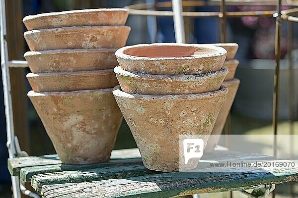 Clay pots on an old garden chair