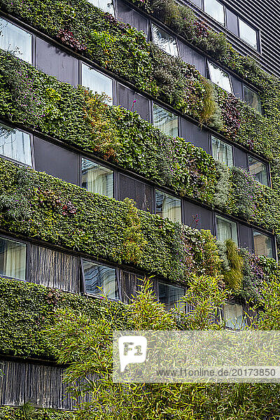 Residential building covered with green plants