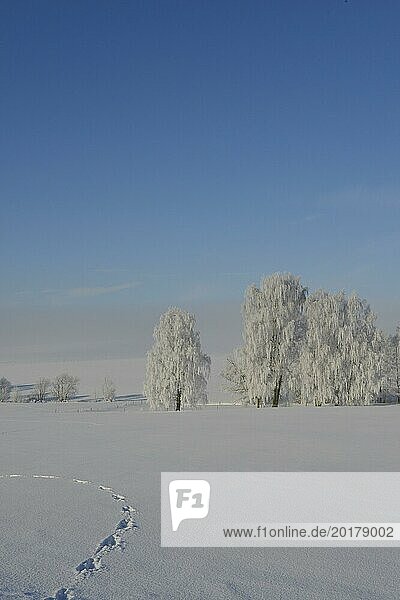 Winter in Sachsen. A Cold winter day in saxon
