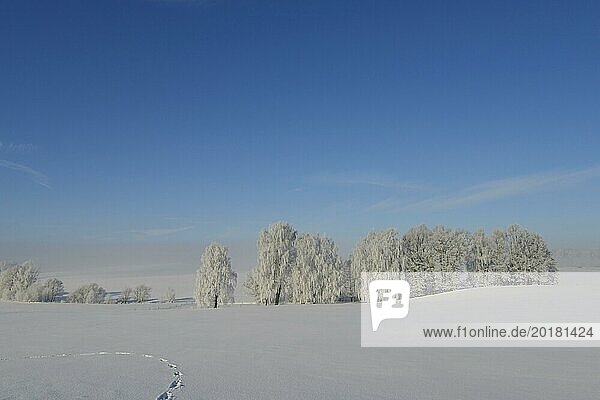 Winter in Sachsen. A Cold winter day in saxon