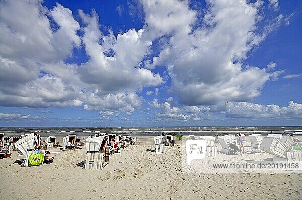 Island of Wangerooge  beach chairs on the beach  East Frisia  Lower Saxony  Federal Republic of Germany