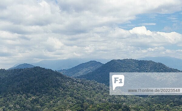Mit dichtem Dschungel bewachsene Hügel im Nationalpark. Malaysia